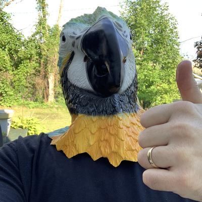 Avatar for PsychicParrot 🦜 (Jeff)  😷❤️