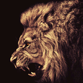 Avatar for McDonald_69