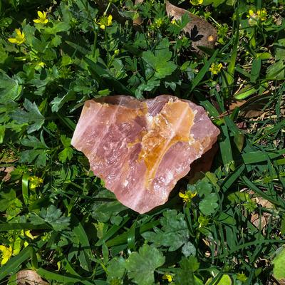 Avatar for Rachel 🌎✨🕊️