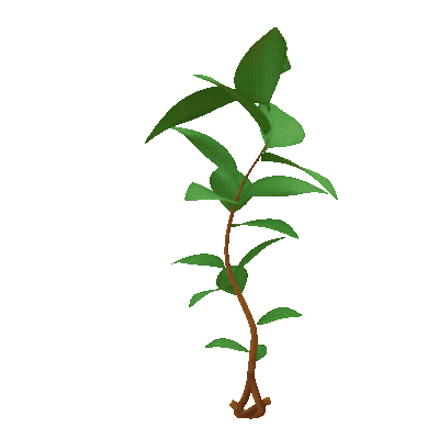 Avatar for Rachel 🌎✨🕊️