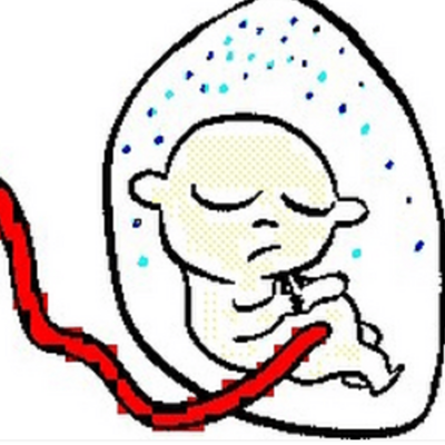 Avatar for strollersoft