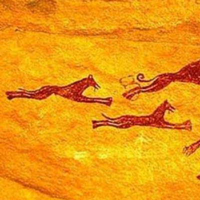 Avatar for Guadalupe Archipielago