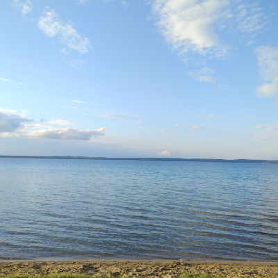 Avatar for Cindy Sue