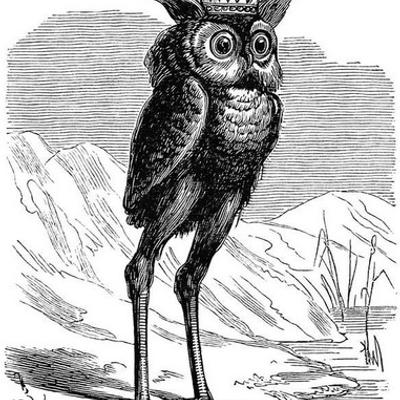 Avatar for wordybirdy