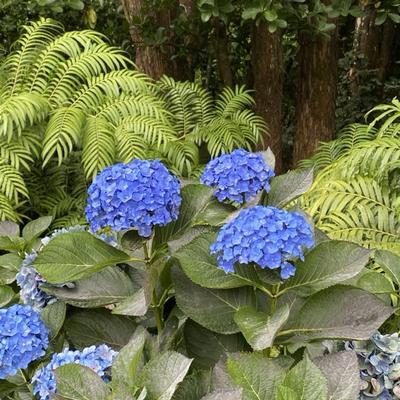 Avatar for Looking for explanations…