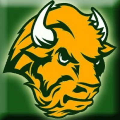 Avatar for NWBison🇺🇸🏳️‍🌈🇺🇦🇬🇪🇲🇩🇹🇼🇵🇸🐈‍⬛🐈‍⬛🐕