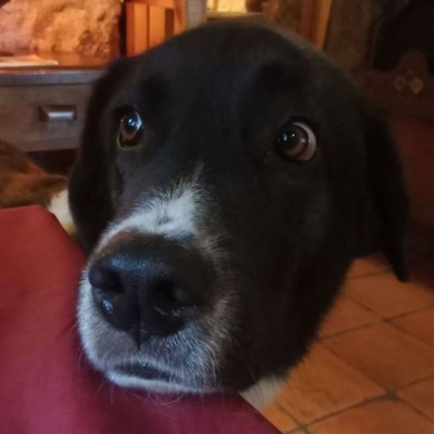 Avatar for Jacobo Da Riva Muñoz