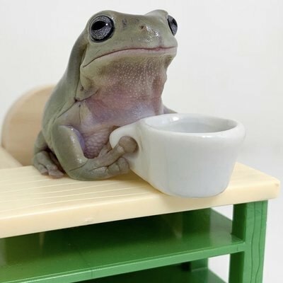 Avatar for Retazo Grimoire 👻