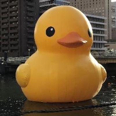 Avatar for yakitori71