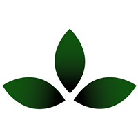 Avatar for Buddhistdoor Global (BDG)