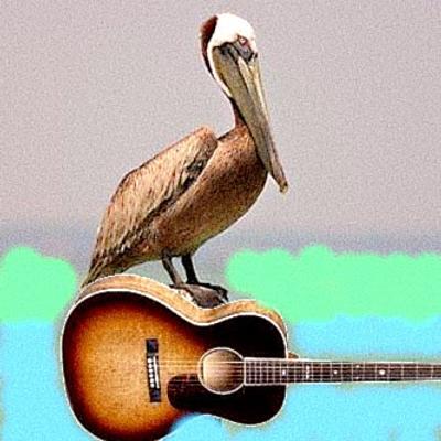 Avatar for Pelican Dock Music
