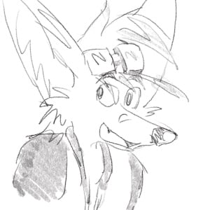 Avatar for Tony Bark
