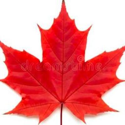 Avatar for SnowyCA :vivaldi_red: