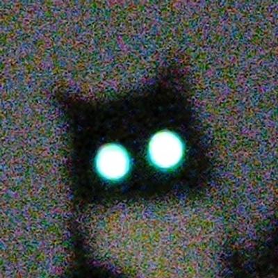 Avatar for joany