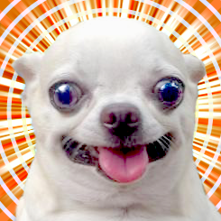 Avatar for Lard Motel