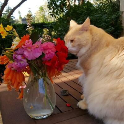 Avatar for Yvonne Perkins