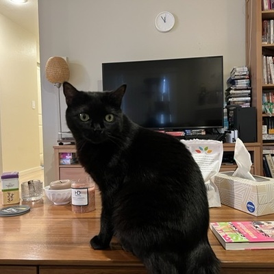 Avatar for 岡崎鏡