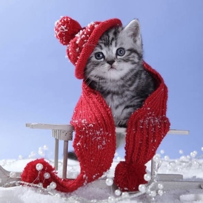 Avatar for Michael Barthel / MiBaWi