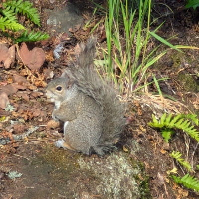 Avatar for darrellpf