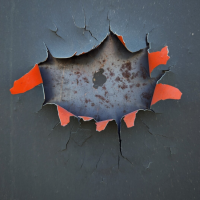 Avatar for Barbara Gavica