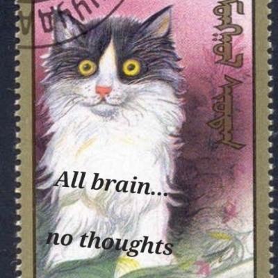 Avatar for Tessiah-Elise (Is not fine)