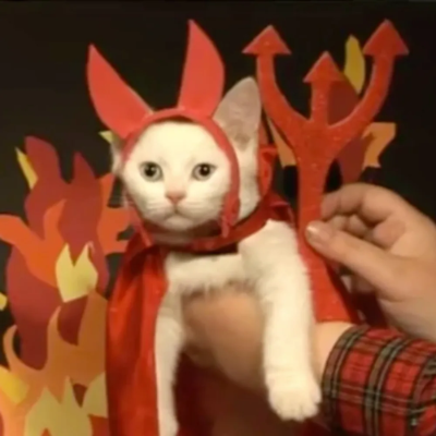 Avatar for zé gapeta, o espectro autista