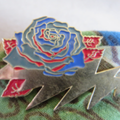 Avatar for salix sericea (@Ripple13216)