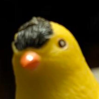 Avatar for Fylgja