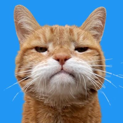Avatar for Poes