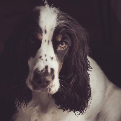 Avatar for Arthurr :debian: ⏚