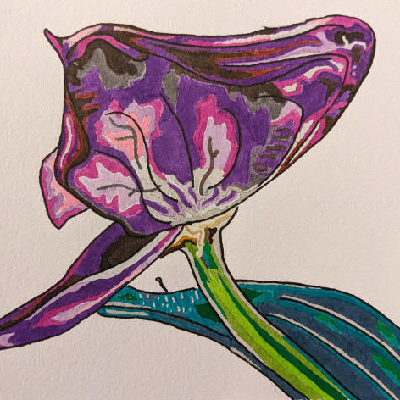 Avatar for Quercus 🟡⚪🟣⚫