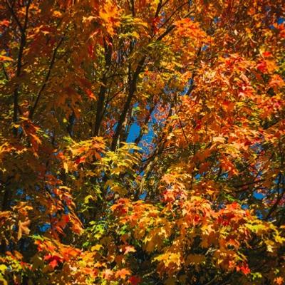 Avatar for Portland•cafe