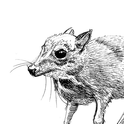 Avatar for Jarosław Dzedzej aka DJ