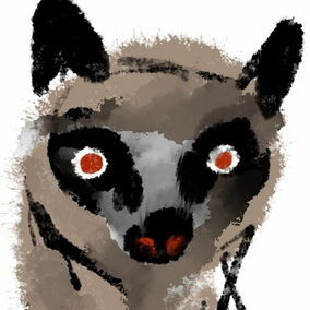 Avatar for dandelion