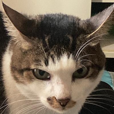 Avatar for Professora :neurodiverse: