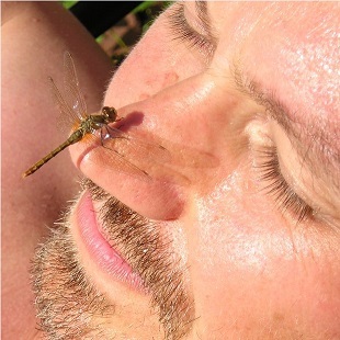 Avatar for kentpollard