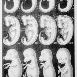 Avatar for Daniel MacPhee 🔬🧬🧫🇨🇦