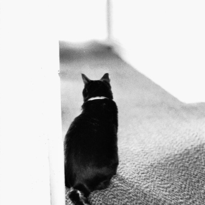 Avatar for Frisco LaLa