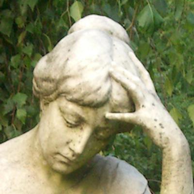 Avatar for Anne Roth