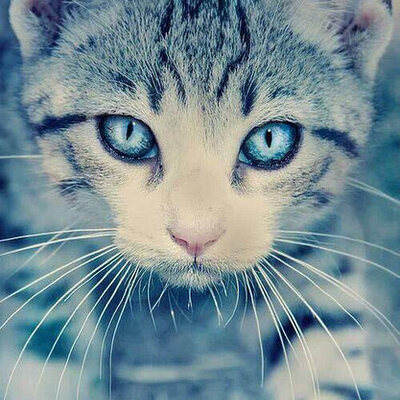 Avatar for comp_ed82