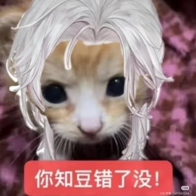 Avatar for 罗非鱼