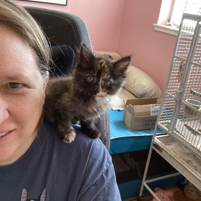 Avatar for T.M. Baumgartner