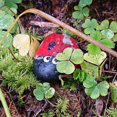 Avatar for Durcheinanderin