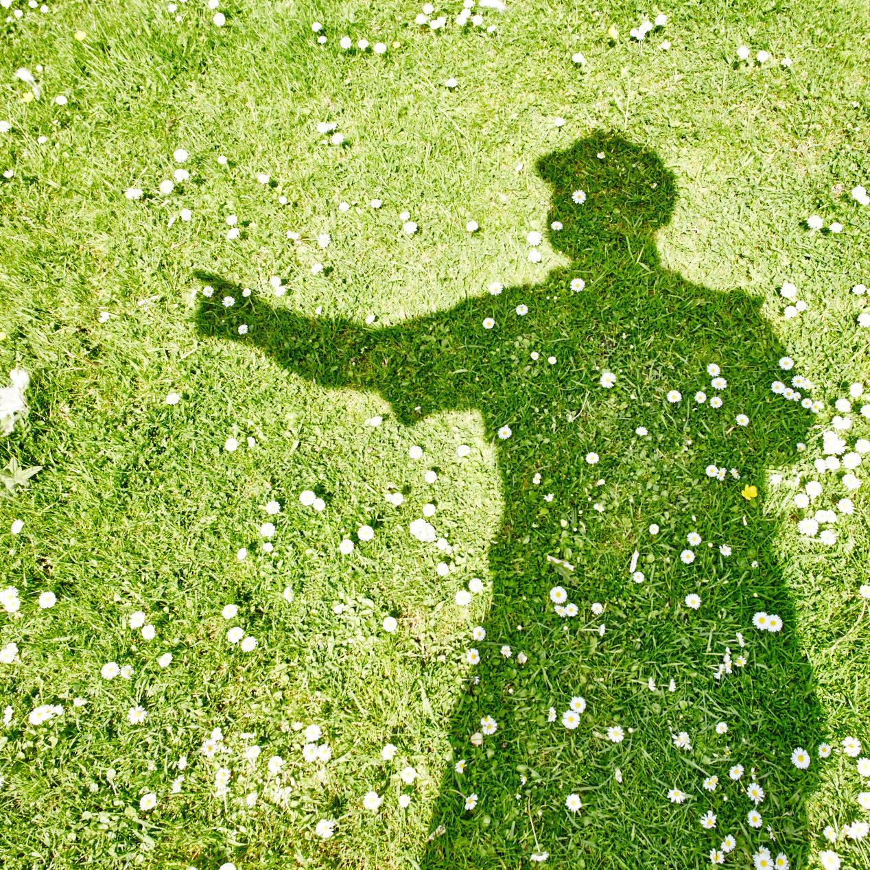 Avatar for ewen@social.ewenbell.com