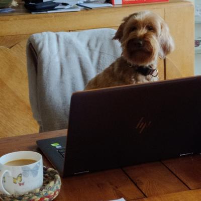 Avatar for James Tweedie