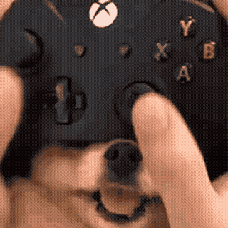 Avatar for Bryan (he/him) 🇺🇸 🏳️‍🌈