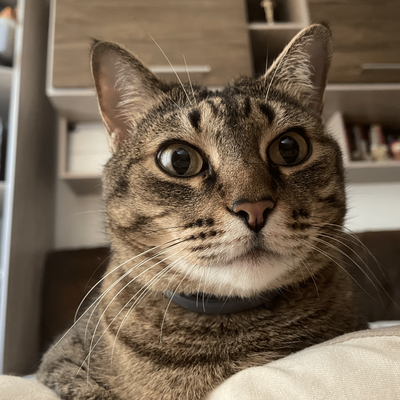 Avatar for Capitu de Ressaca