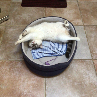 Avatar for delsaulnier