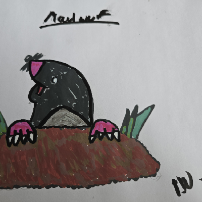 Avatar for TierTurnier