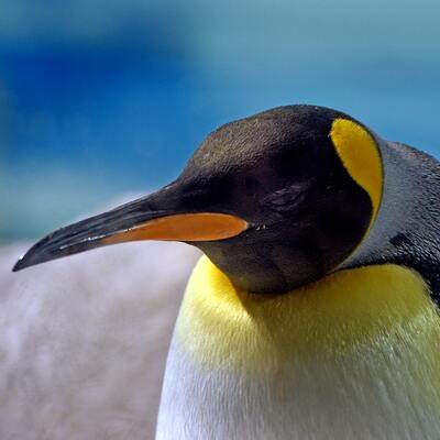 Avatar for paradoxmo